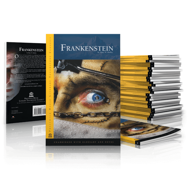 mary frankenstien essay mary frankenstien essay