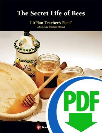 Secret Life of Bees, The: LitPlan Teacher Pack - Downloadable