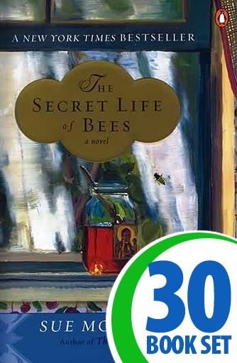 Secret Life of Bees, The - 30 Books and Complete Teacher's Kit
