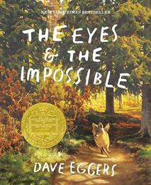 The Eyes & The Impossible