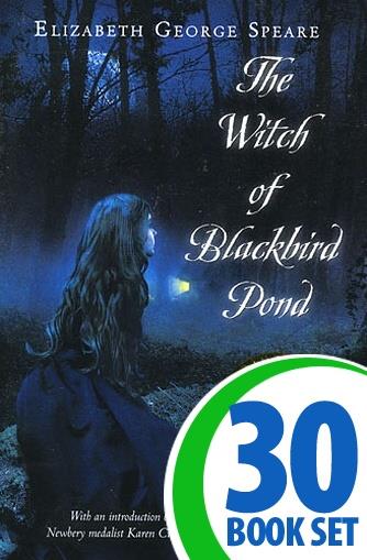 Witch of Blackbird Pond, The - 30 Books and Power Pack