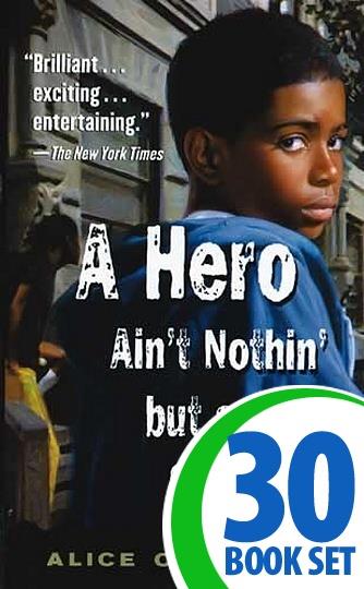 Hero Ain't Nothin' but a Sandwich, A - 30 Books and Response Journal