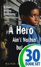 Hero Ain't Nothin' but a Sandwich, A - 30 Books and Response Journal
