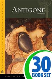 Antigone - 30 Books and Response Journal