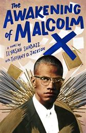 Awakening of Malcolm X, The