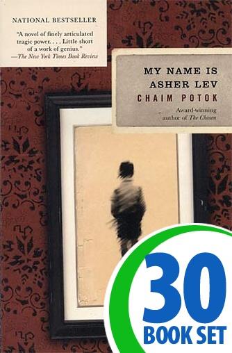 My name is asher lev chaim potok image
