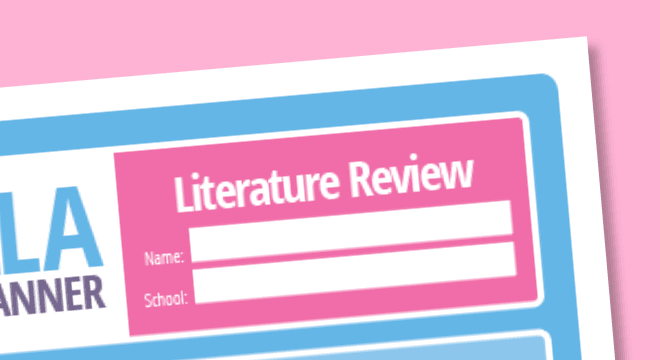 Literature Review