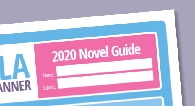 2020 Novel Guide