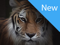 The Tyger Free Library New
