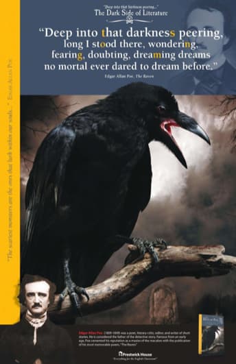 The Dark Side of Literature: The Raven Poster